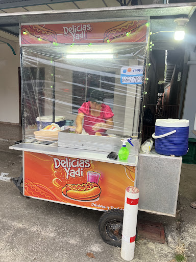 Delicias Yadi