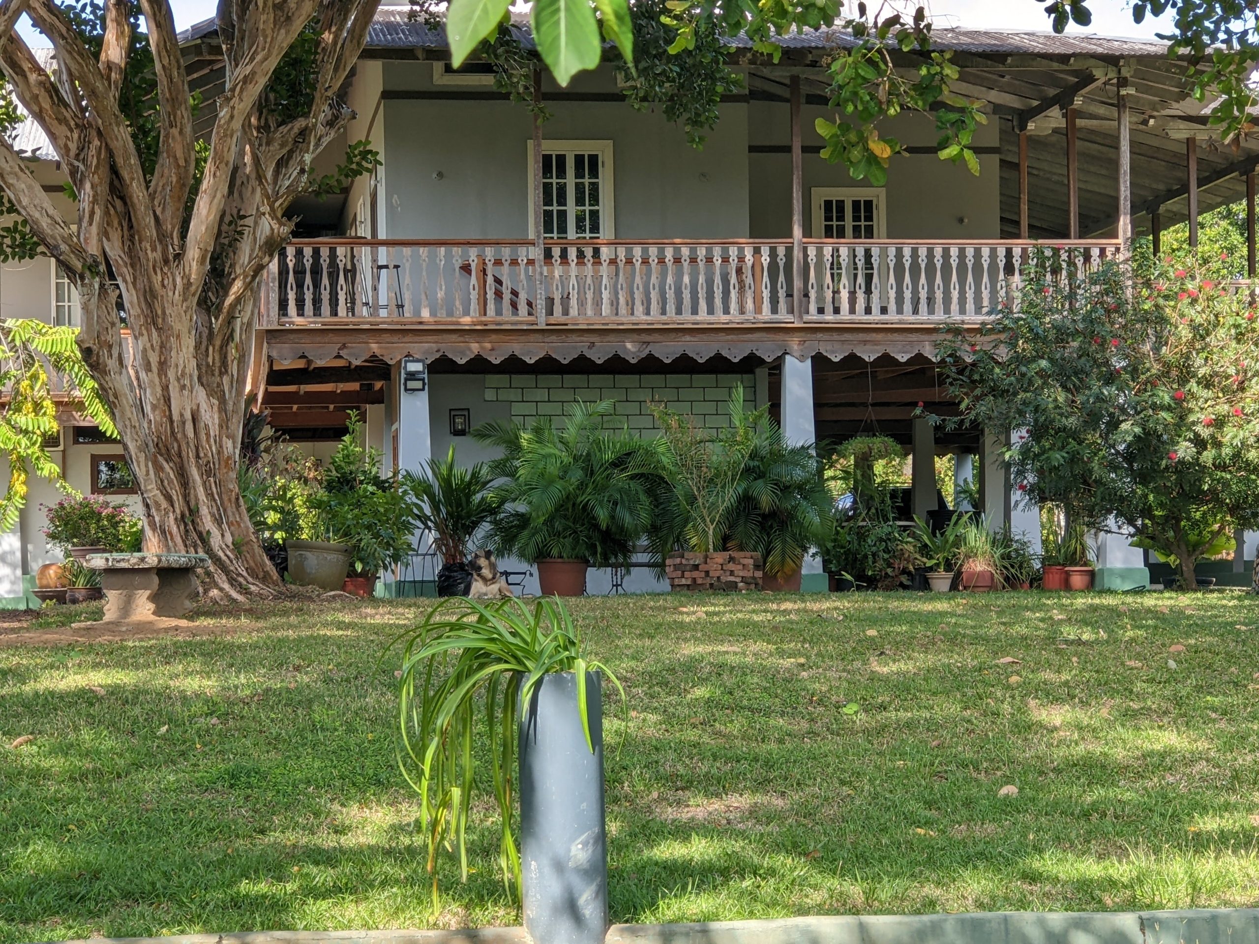 Restaurantes en Chepo: Los Mejores para Visitar y Disfrutar