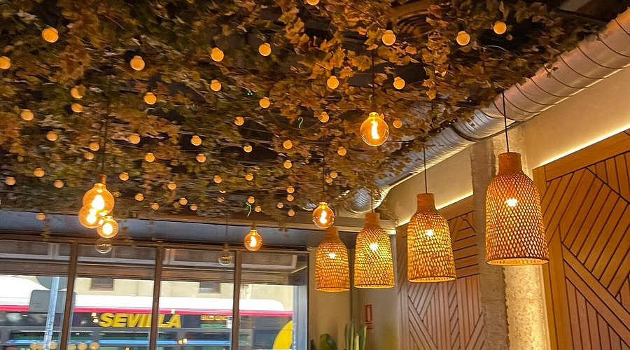 Opinión de La Terraza: Experiencia y Valoración en Restaurante
